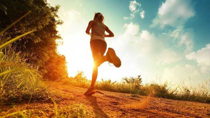 Ilustrație traseu de plimbare