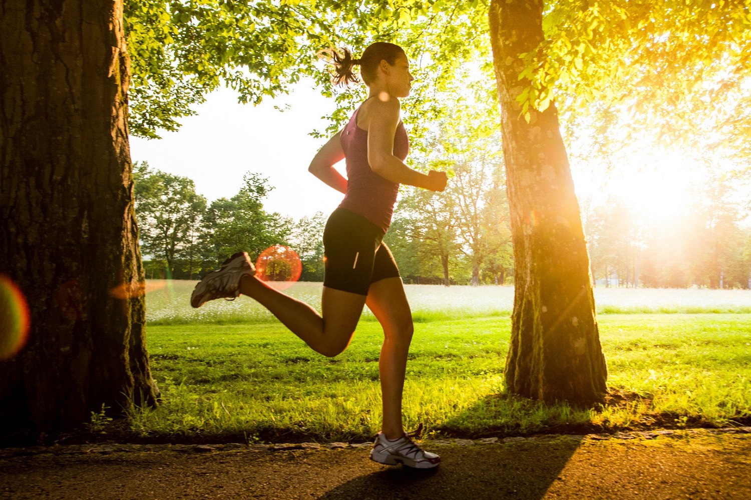 Ilustrație întinderi ușoare